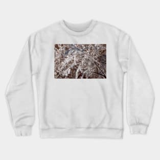 Winter Grassland Crewneck Sweatshirt